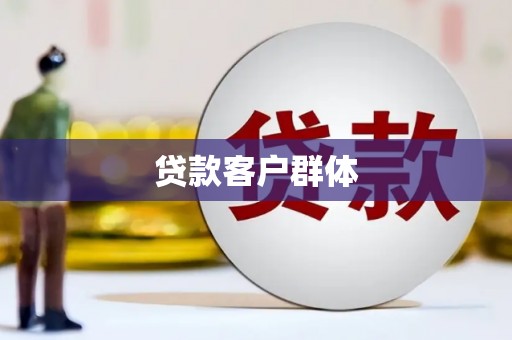 大堂贷款客户群体
