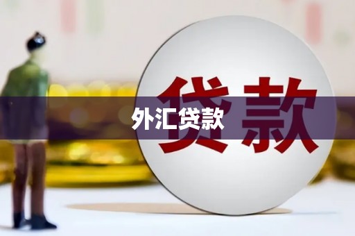 大堂外汇贷款