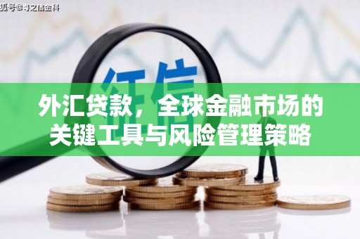 大堂外汇贷款，全球金融市场的关键工具与风险管理策略
