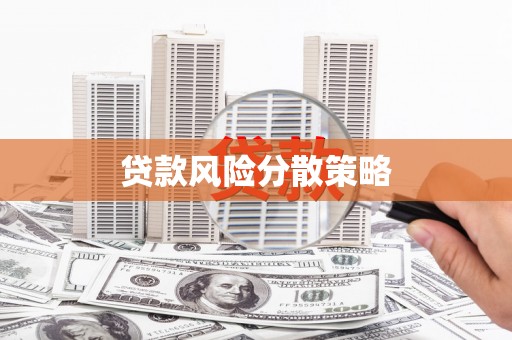 大堂贷款风险分散策略