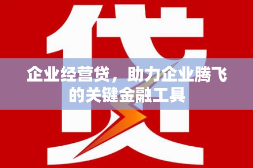 大堂企业经营贷，助力企业腾飞的关键金融工具
