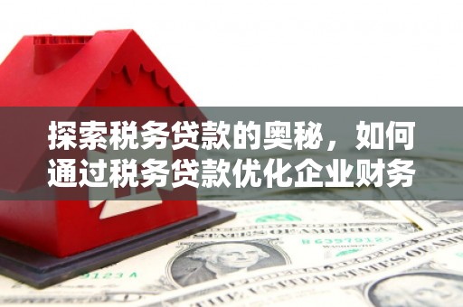 大堂探索税务贷款的奥秘，如何通过税务贷款优化企业财务