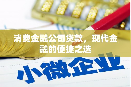 大堂消费金融公司贷款，现代金融的便捷之选