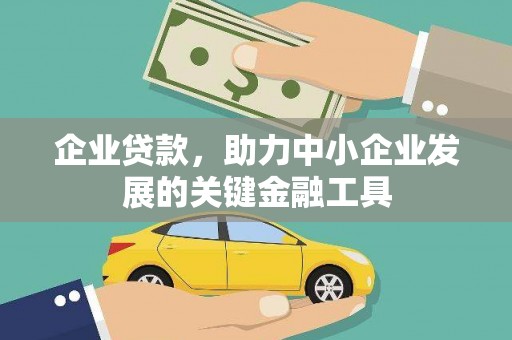 大堂企业贷款，助力中小企业发展的关键金融工具