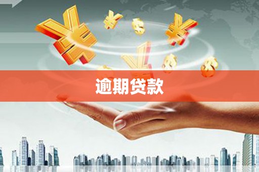 大堂逾期贷款