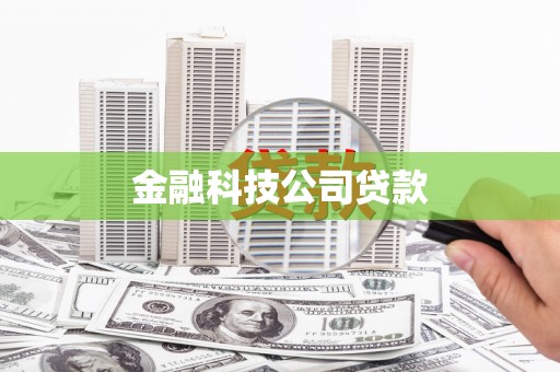 大堂金融科技公司贷款