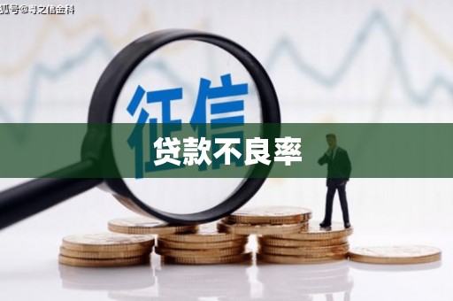 大堂贷款不良率