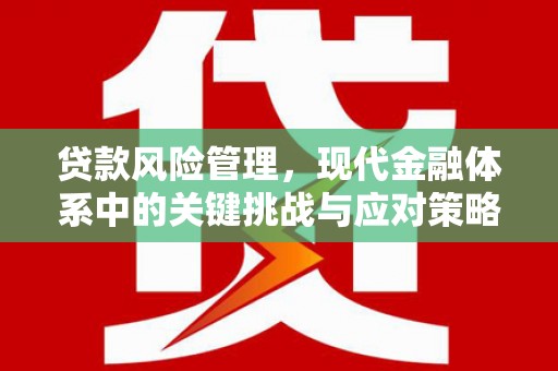 大堂贷款风险管理，现代金融体系中的关键挑战与应对策略
