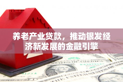 大堂养老产业贷款，推动银发经济新发展的金融引擎