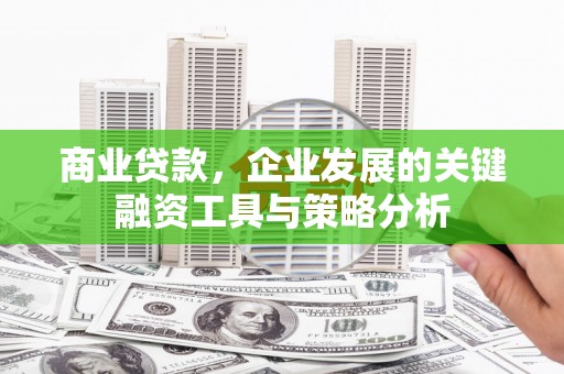 大堂商业贷款，企业发展的关键融资工具与策略分析