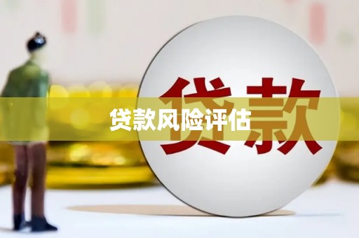 大堂贷款风险评估