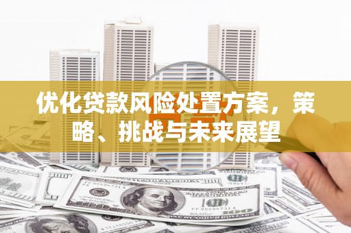 大堂优化贷款风险处置方案，策略、挑战与未来展望