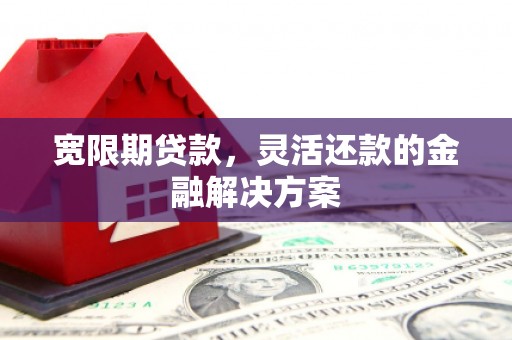 大堂宽限期贷款，灵活还款的金融解决方案