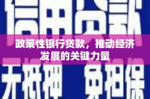 大堂政策性银行贷款，推动经济发展的关键力量