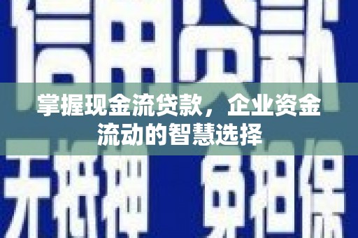 大堂掌握现金流贷款，企业资金流动的智慧选择