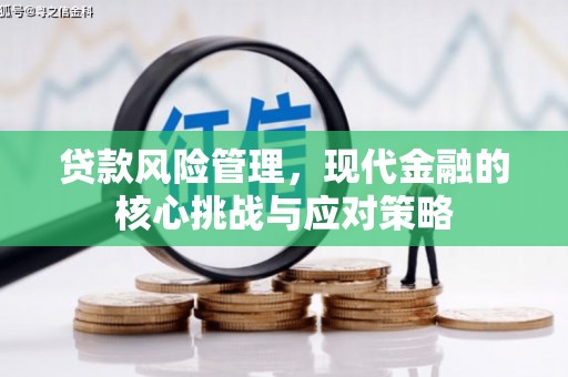 大堂贷款风险管理，现代金融的核心挑战与应对策略