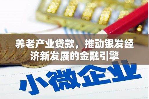 大堂养老产业贷款，推动银发经济新发展的金融引擎