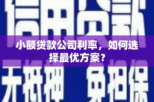 大堂小额贷款公司利率，如何选择最优方案？