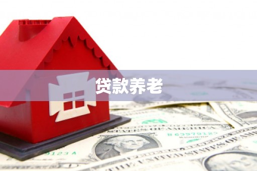 大堂贷款养老