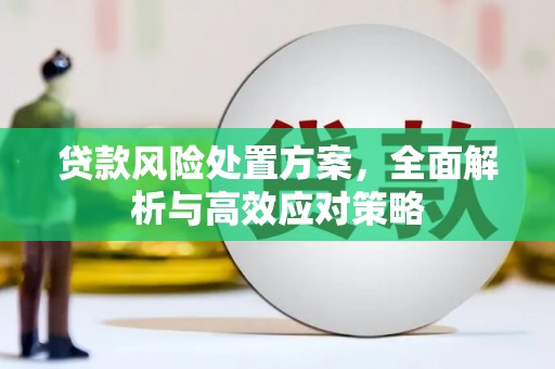 大堂贷款风险处置方案，全面解析与高效应对策略