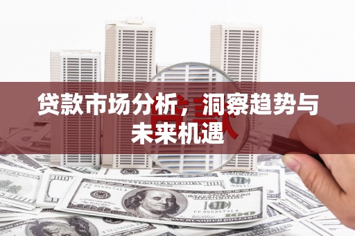 大堂贷款市场分析，洞察趋势与未来机遇