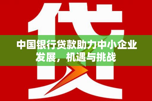大堂中国银行贷款助力中小企业发展，机遇与挑战