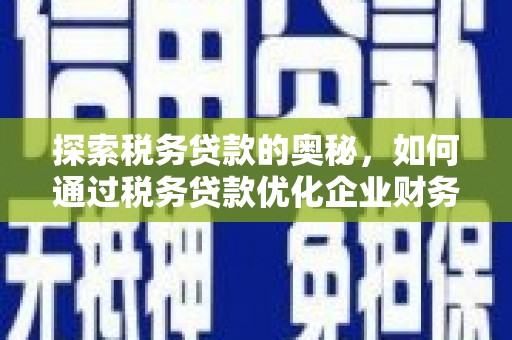 大堂探索税务贷款的奥秘，如何通过税务贷款优化企业财务
