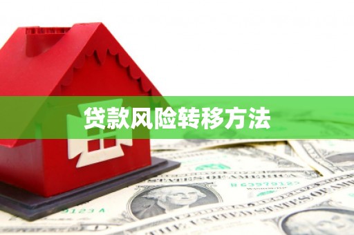 大堂贷款风险转移方法