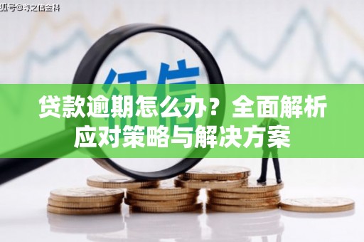 大堂贷款逾期怎么办？全面解析应对策略与解决方案