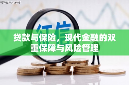 大堂贷款与保险，现代金融的双重保障与风险管理
