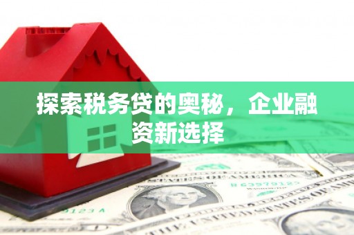 大堂探索税务贷的奥秘，企业融资新选择