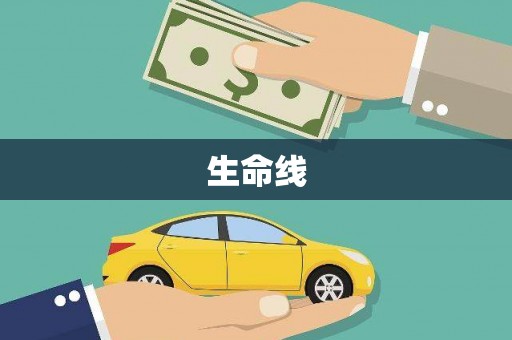 大堂生命线