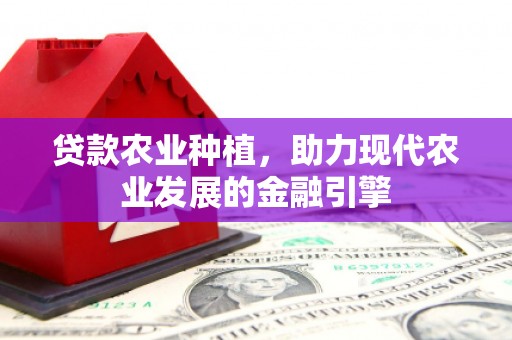 大堂贷款农业种植，助力现代农业发展的金融引擎