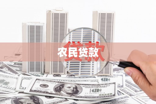 大堂农民贷款