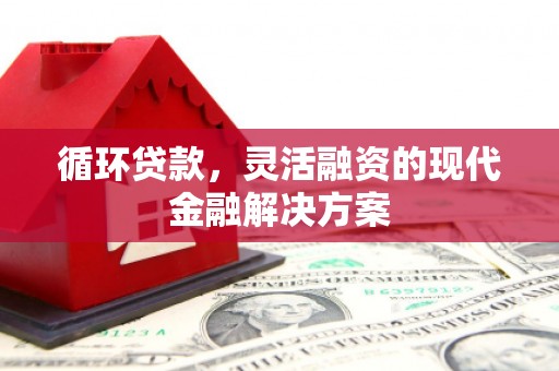大堂循环贷款，灵活融资的现代金融解决方案