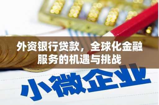 大堂外资银行贷款，全球化金融服务的机遇与挑战
