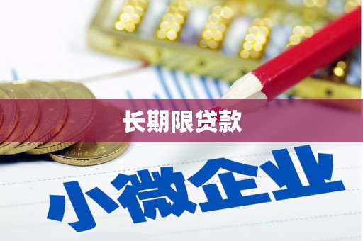 大堂长期限贷款