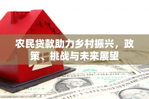 大堂农民贷款助力乡村振兴，政策、挑战与未来展望
