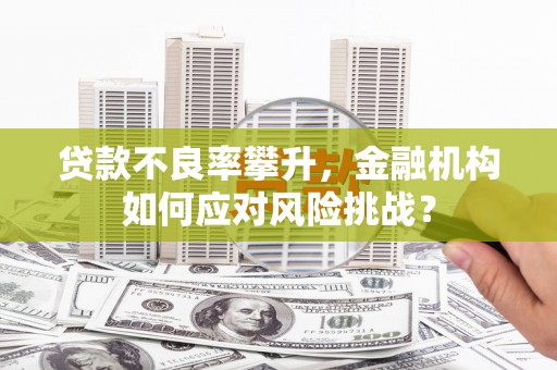 大堂贷款不良率攀升，金融机构如何应对风险挑战？