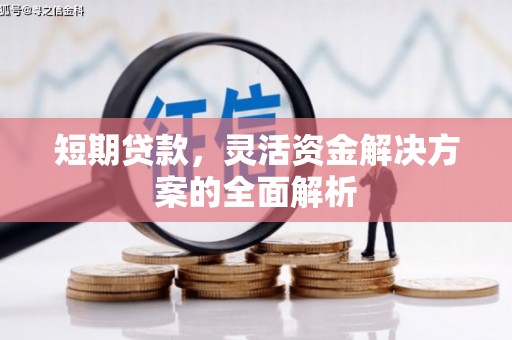 大堂短期贷款，灵活资金解决方案的全面解析