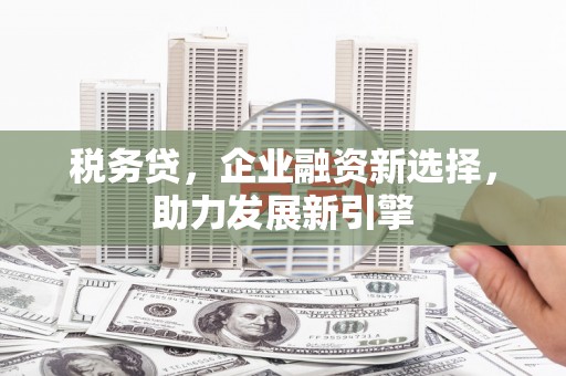 大堂税务贷，企业融资新选择，助力发展新引擎