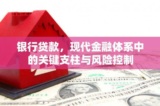 大堂银行贷款，现代金融体系中的关键支柱与风险控制
