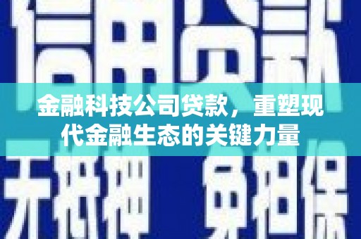 大堂金融科技公司贷款，重塑现代金融生态的关键力量