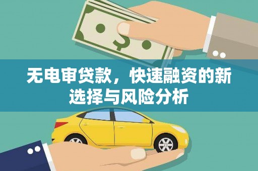 大堂无电审贷款，快速融资的新选择与风险分析