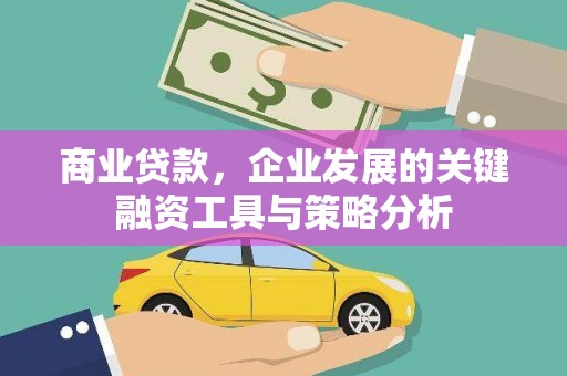 大堂商业贷款，企业发展的关键融资工具与策略分析