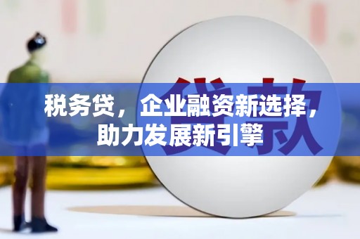 大堂税务贷，企业融资新选择，助力发展新引擎