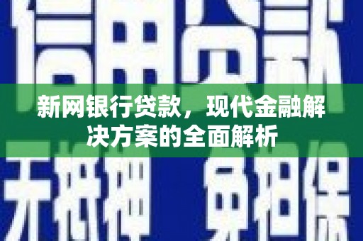 大堂新网银行贷款，现代金融解决方案的全面解析