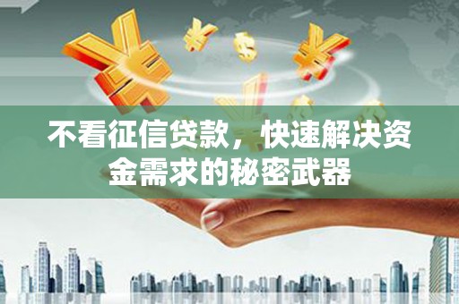 大堂不看征信贷款，快速解决资金需求的秘密武器