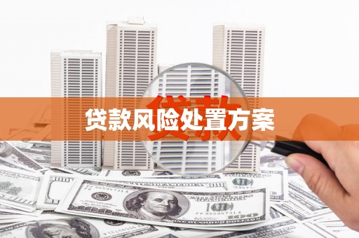 大堂贷款风险处置方案