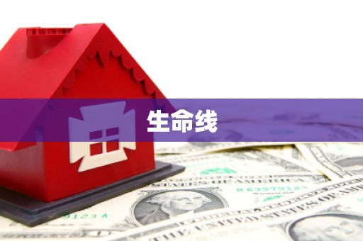 大堂生命线